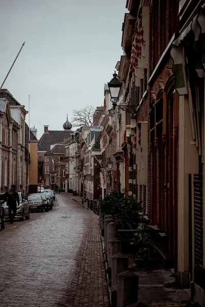 Windmolens van Kinderdijk in een Nederlands polderlandschap